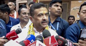 दबाव में पेड़ पर चढ़ती है बिल्ली