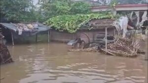 राघोपुर में बाढ़ का कहर