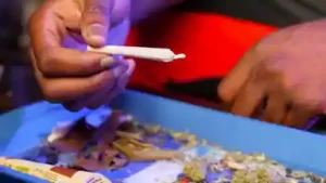 नेपाल से बिहार लाई 3 किलो चरस के साथ दो तस्कर गिरफ्तार